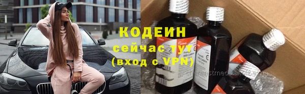 дурь Арсеньев