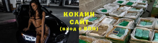 дурь Арсеньев