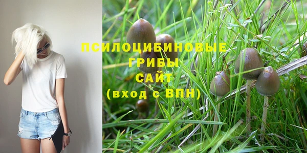 мет Армянск