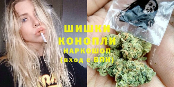 дурь Арсеньев