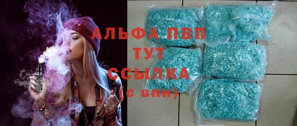 амф Аркадак