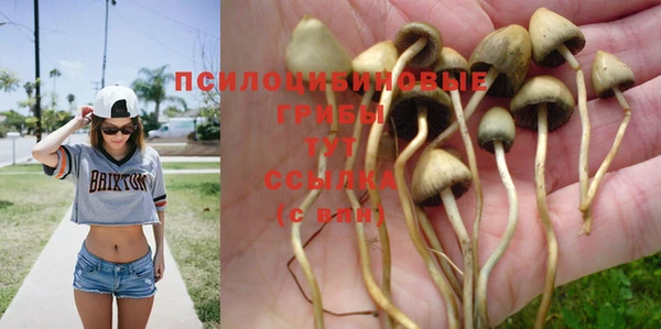 дурь Арсеньев