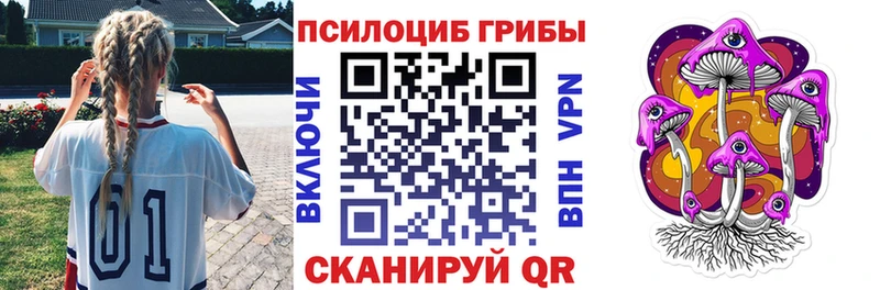 hydra tor  Сорочинск  Галлюциногенные грибы MAGIC MUSHROOMS  купить  сайты 